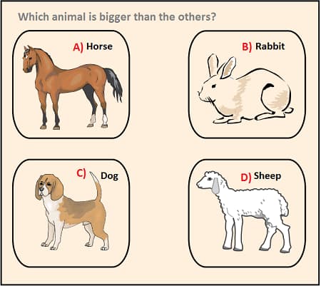 Math 1st grade height measurement sample question