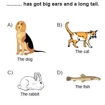 Math 2nd grade height measurement sample question