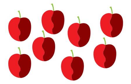 Math 3rd grade object counting sample question